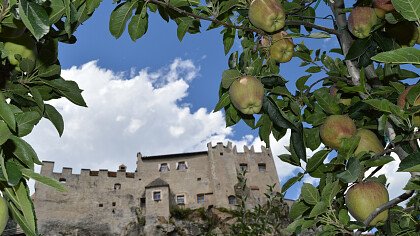 Apple orchards at Castelbello-Ciardes Castle