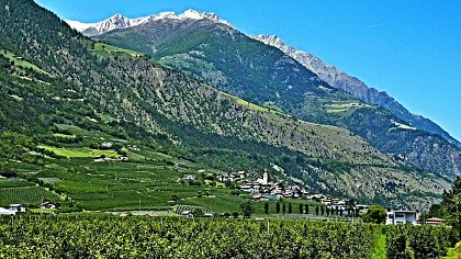 Apple orchards at Castelbello-Ciardes Castle