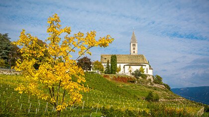 fiori_chiesa_di_cortaccia_sulla_strada_del_vino_shutterstock