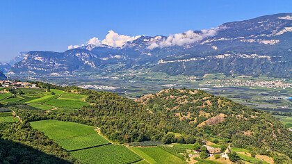 fiori_chiesa_di_cortaccia_sulla_strada_del_vino_shutterstock