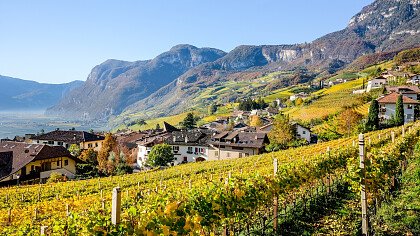 fiori_chiesa_di_cortaccia_sulla_strada_del_vino_shutterstock