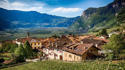 fiori_chiesa_di_cortaccia_sulla_strada_del_vino_shutterstock