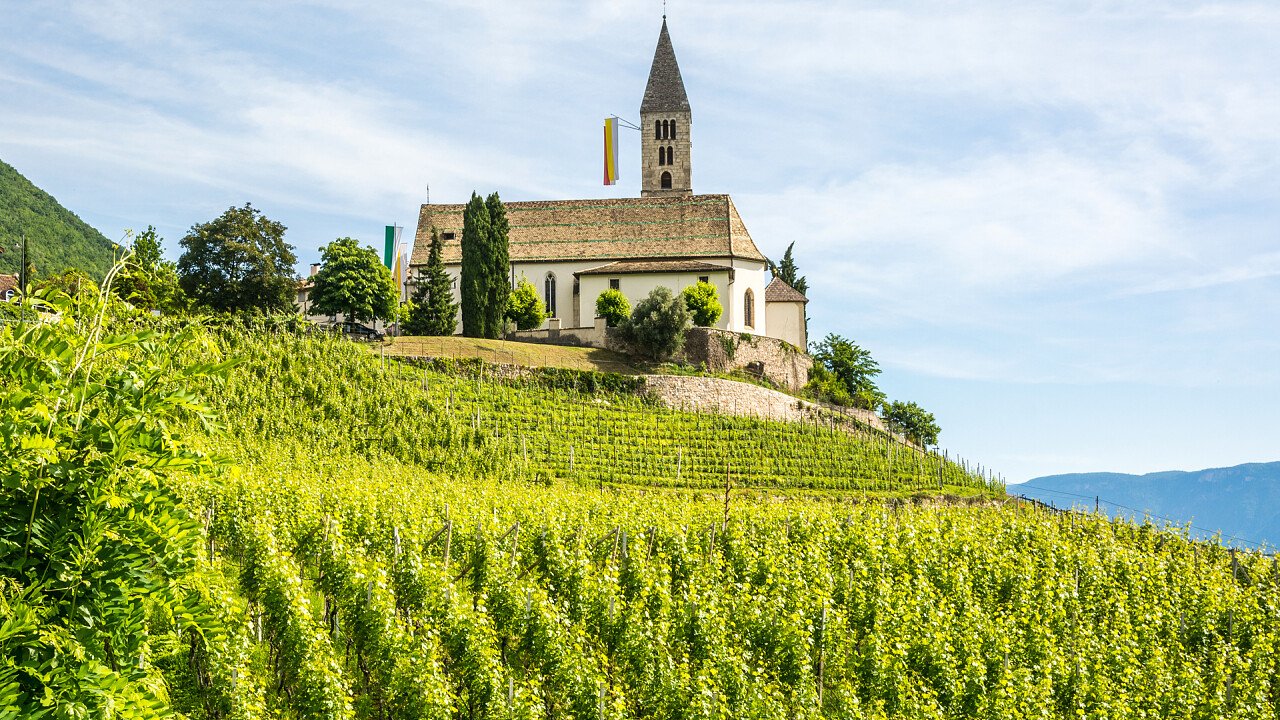estate_cortaccia_sulla_strada_del_vino_shutterstock