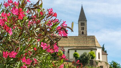 fiori_chiesa_di_cortaccia_sulla_strada_del_vino_shutterstock