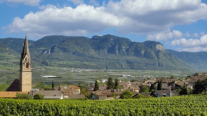 panorama_da_cortina_sulla_strada_del_vino_shutterstock