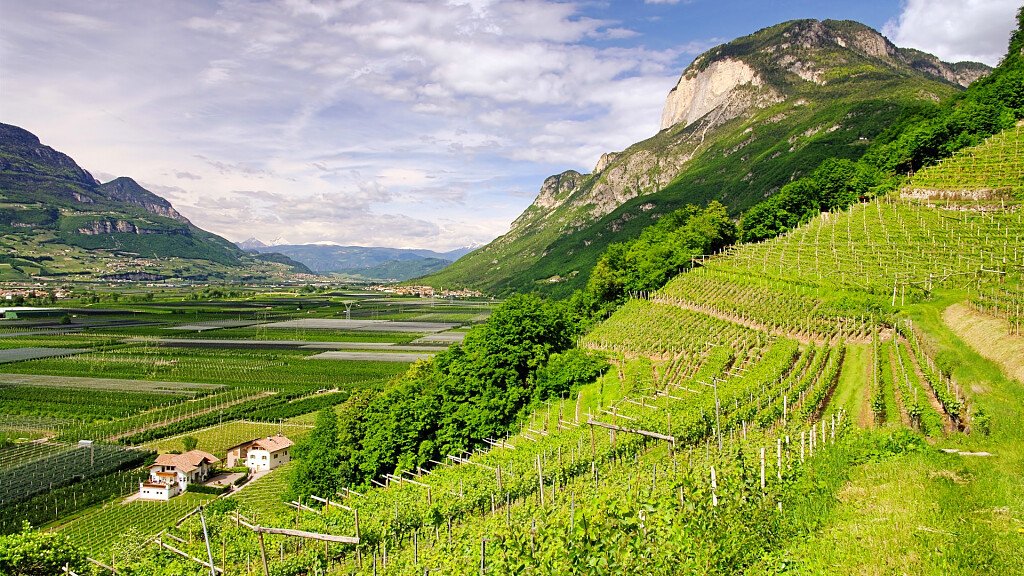 Salorno, tranquillo paese vinicolo