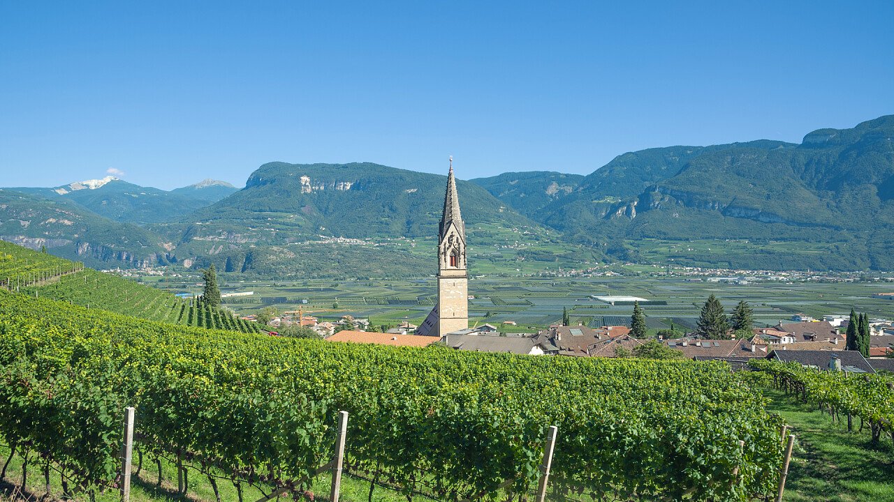 vigneti_chiesa_termeno_dreamstime_travelpeter