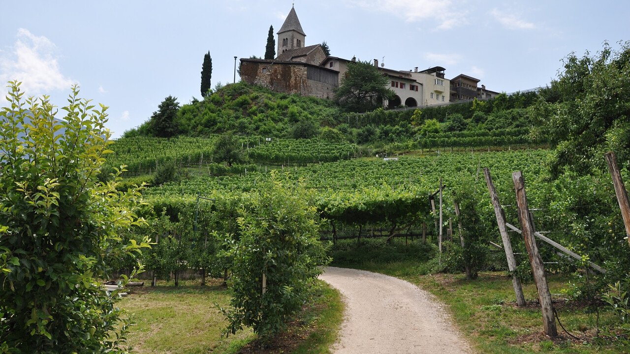 strada_vigneti_termeno_shutterstock