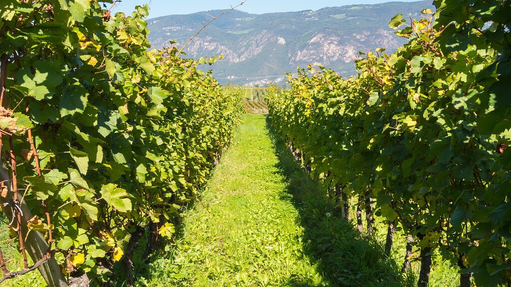 Urlaub in Meran und Umgebung. Tiroler Tradition und mediterraner Charme