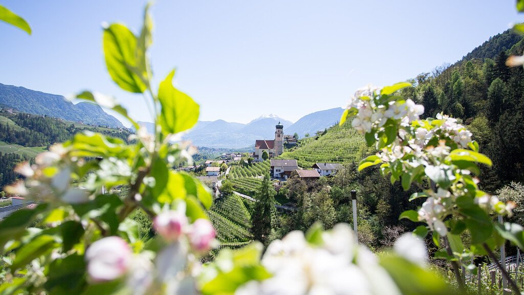 Merano e dintorni. Cosa fare: terme, mercatini, escursioni, sci ed eventi