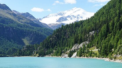 Blick auf den See und Martelltal