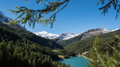 Blick auf den See und Martelltal