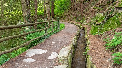 panorama_da_scena_dreamstime_robert_jank