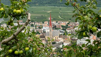 Apple orchards around Silandro