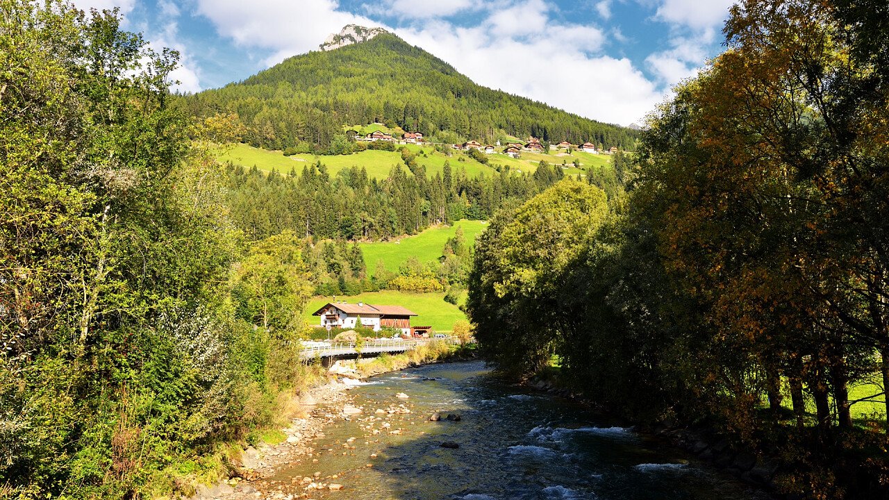 natura_lutago_dreamstime_jan_konter