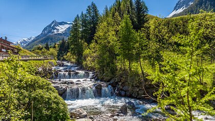 estate_natura_ponte_montagne_predoi_dreamstime_christian_mueringer