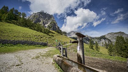 Herbst in Gitschberg Jochtal