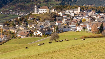 pecore_panorama_estate_san_pitro_di_laion_apt_val_di_funes