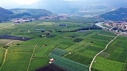 calliano_castle_azienda_per_il_turismo_rovereto_e_vallagarina