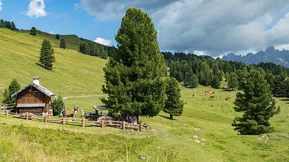 val_canali_primiero_pale_di_san_martino_andreas_tamanini