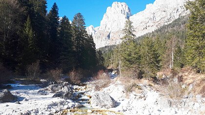 val_canali_primiero_pale_di_san_martino_andreas_tamanini