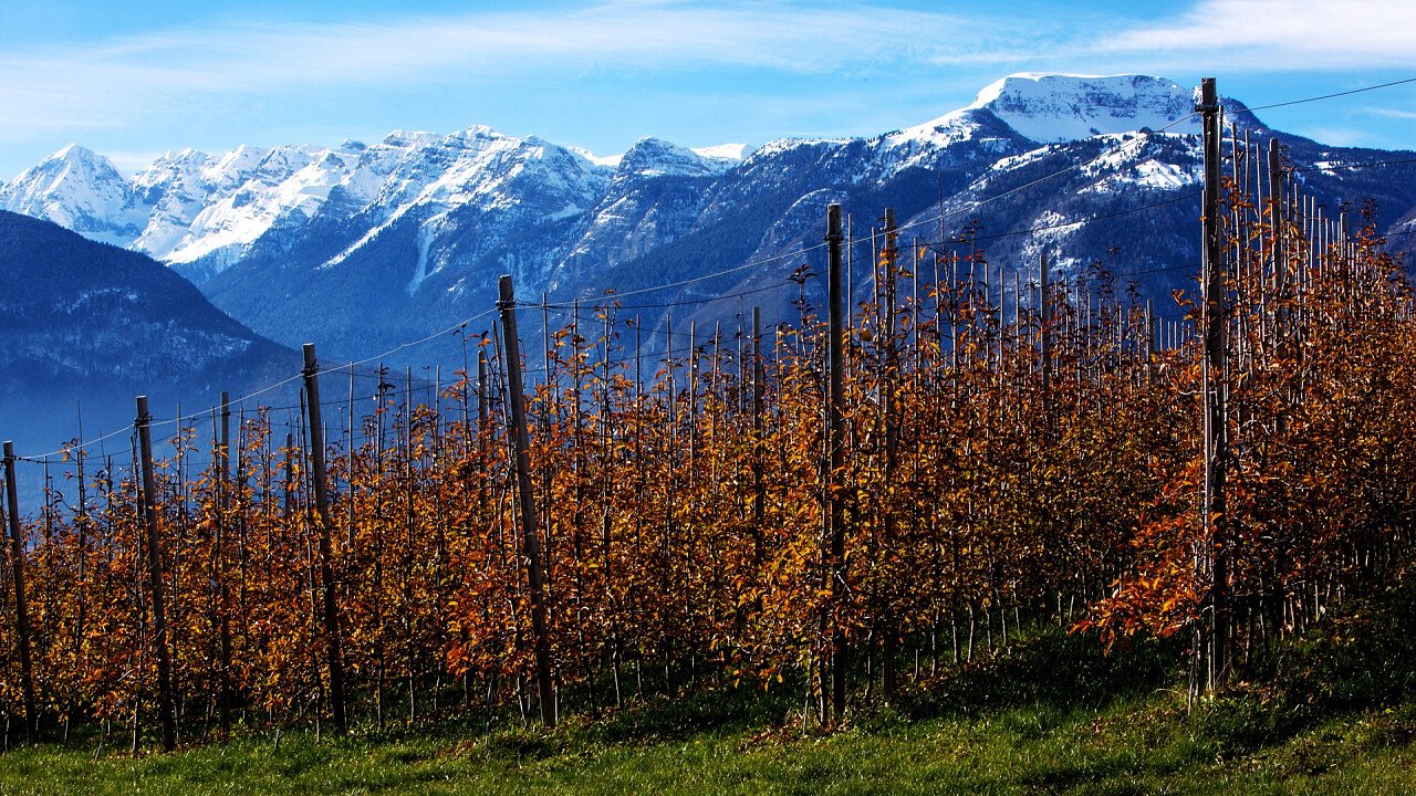 meleti_montagne_innevate_cles_shutterstock