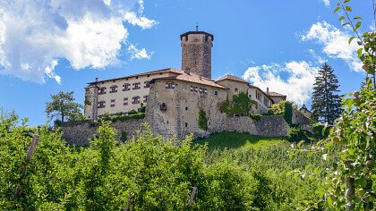 herbs_apfelbäume_tassullo_shutterstock