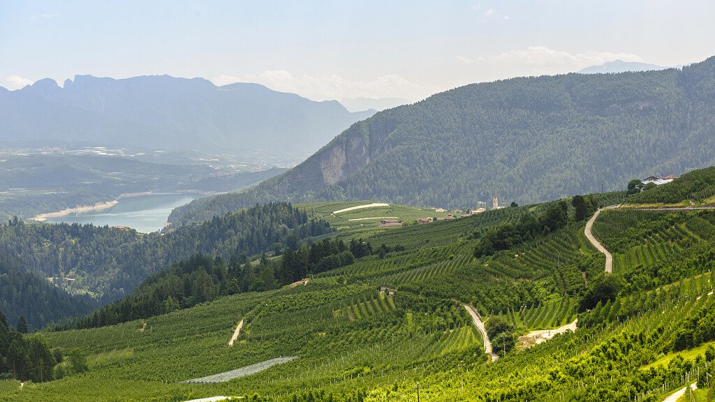 Flavon dalla storia antica