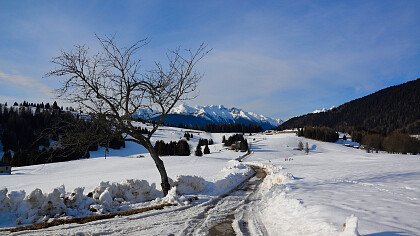 inverno_castello_tesino_shutterstock