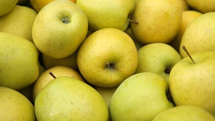 Äpfel in Taio