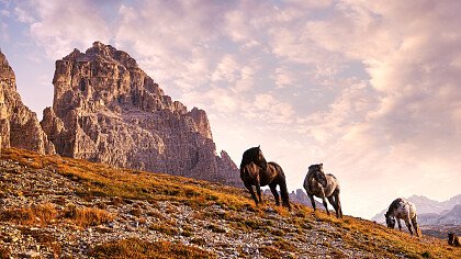 tre_cime_di_lavaredo_da_auronzo_di_cadore_pixabay_lynx-900