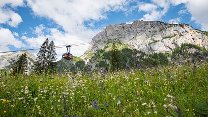 laste_di_rocca_pietore_consorzio_turistico_marmolada_rocca_pietore_dolomiti