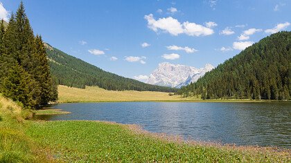 sciare_a_madonna_di_campiglio_shutterstock