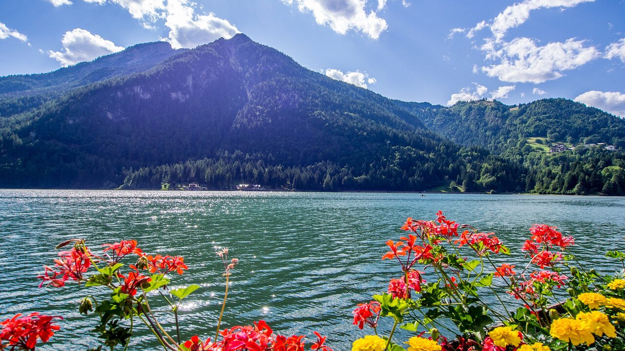 fiori_e_lago_di_alleghe_dreamstime_karlosxii