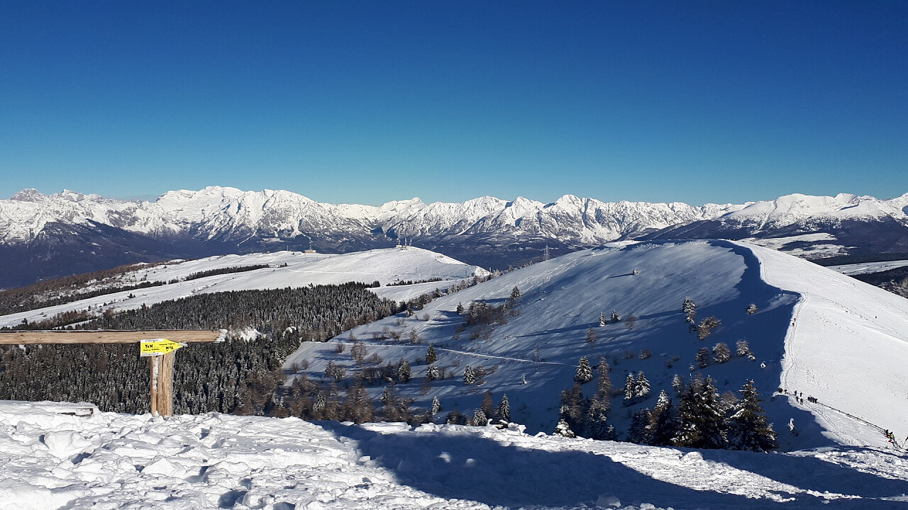 Dolomiti innevate viste dall'Alpe del Nevegal