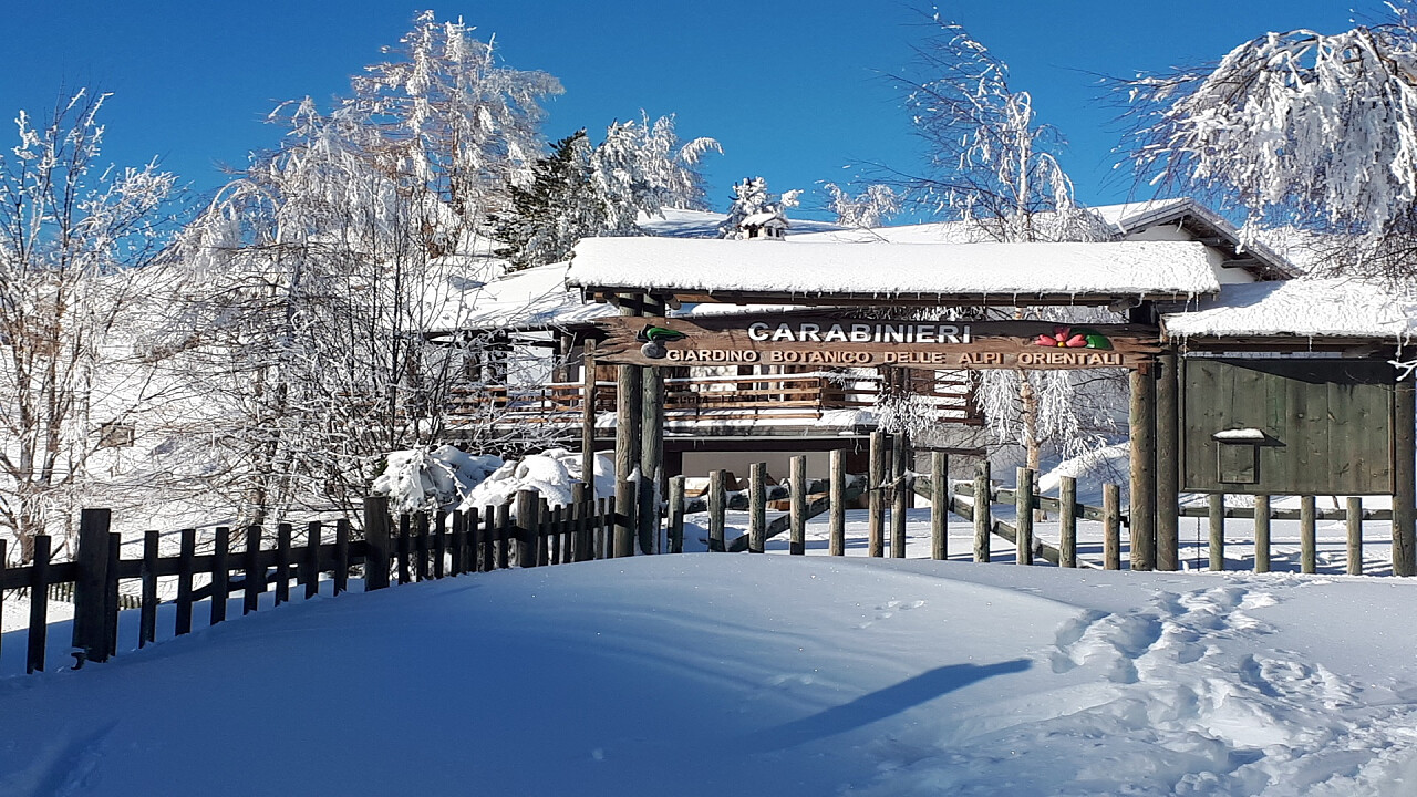 Giardino Botanico Alpi Orientali in inverno - Nevegal