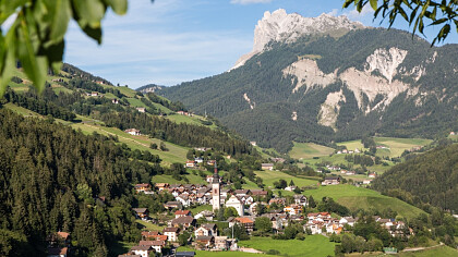 pecore_panorama_estate_san_pitro_di_laion_apt_val_di_funes