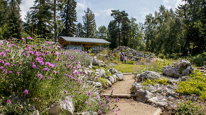 Langlaufen in Monte Bondone