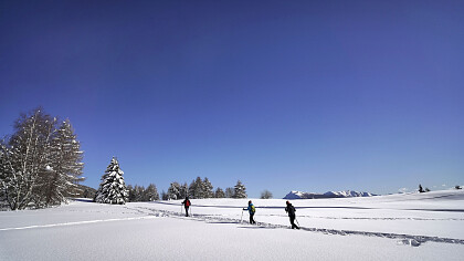 Cross-country skiing in Monte Bondone