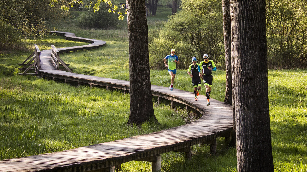 Runners in the park at Vallelaghi