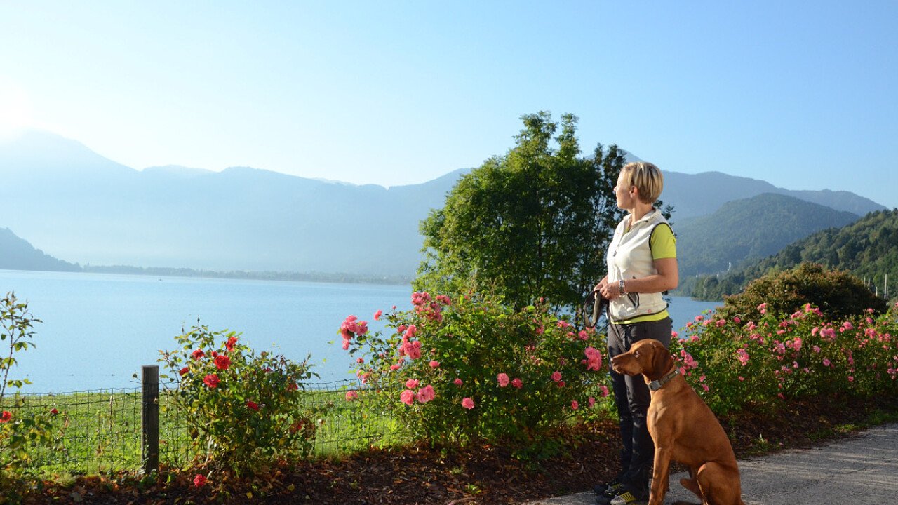 Vacanze con il cane al lago in Valsugana - Trentino