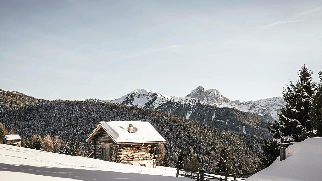 Alpe di Luson: family holidays, hiking and nature