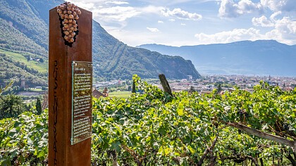 a view of the town centre
