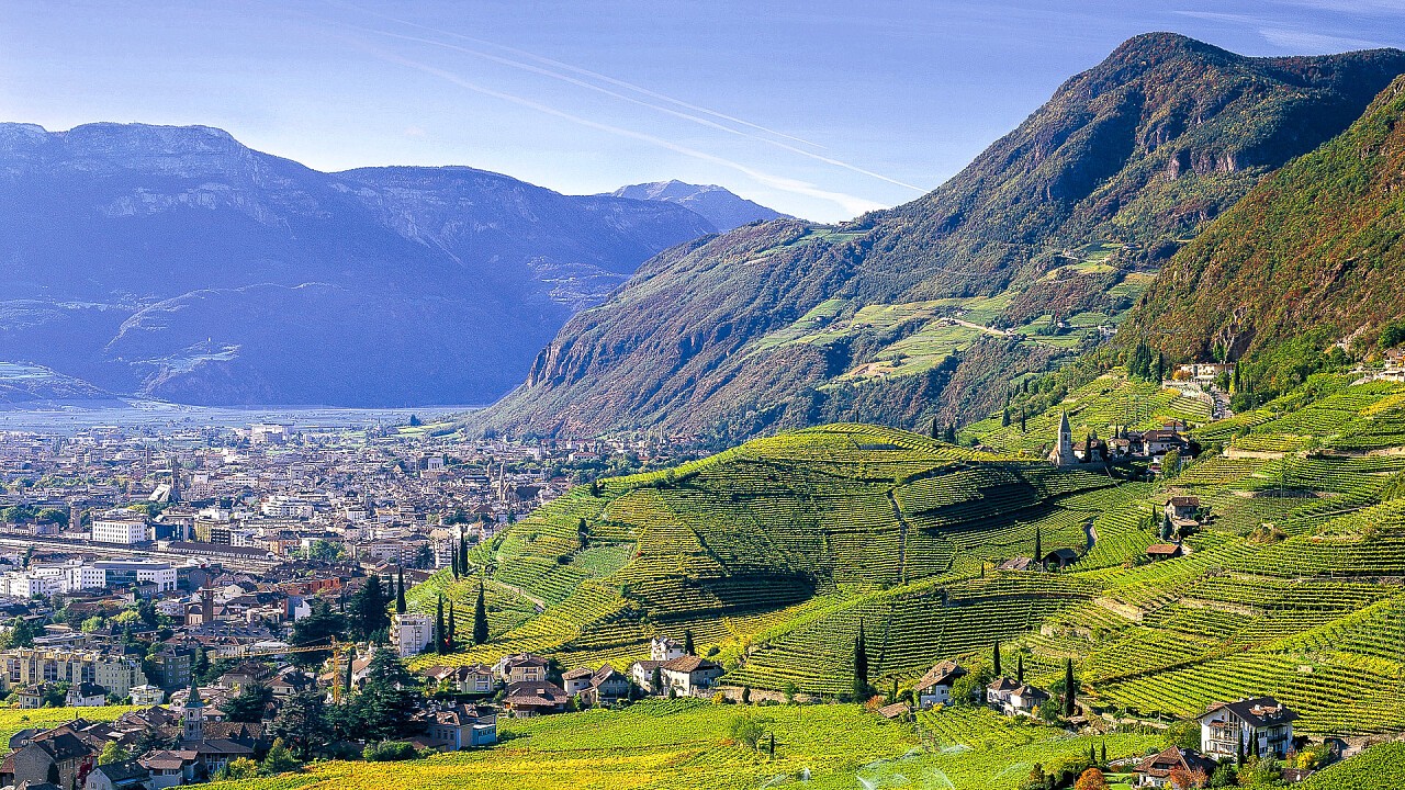 view of the vineyards in Bolzano