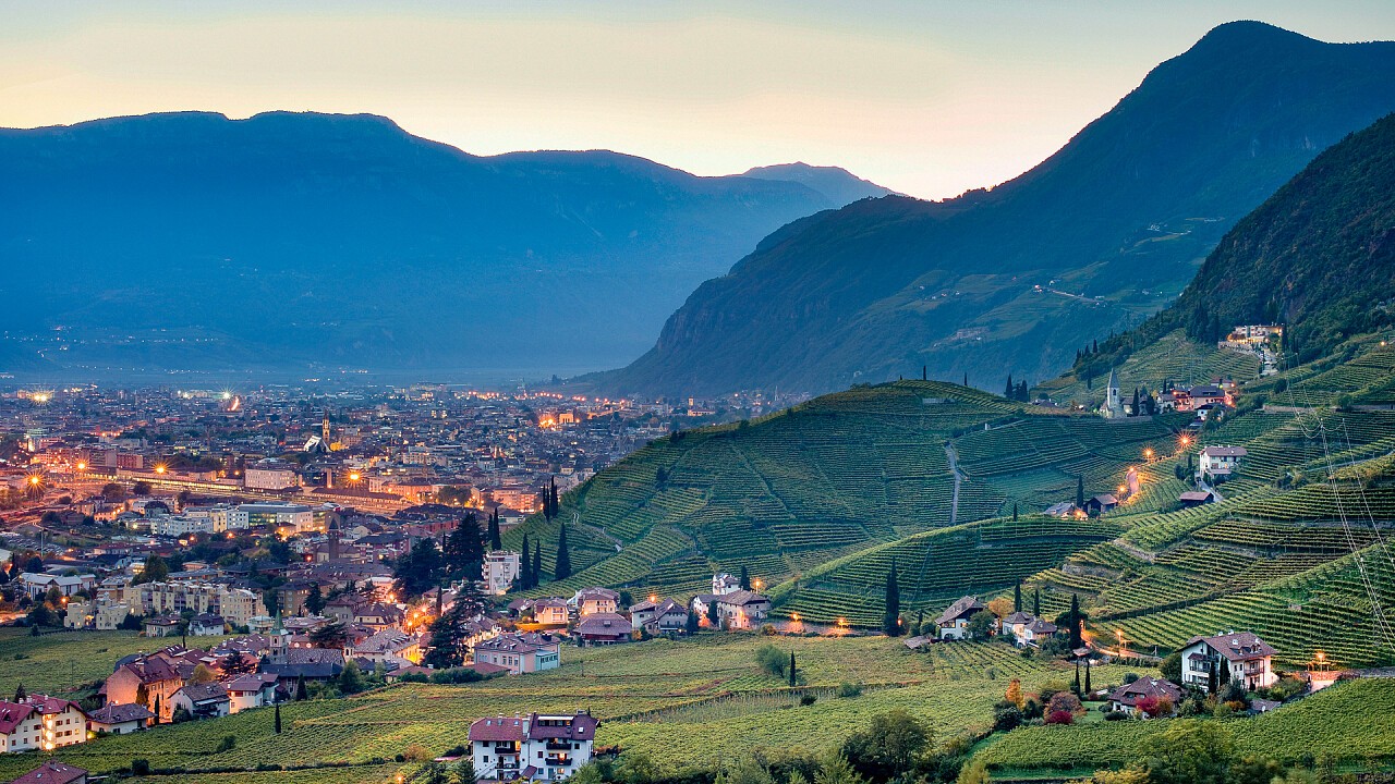 view of the vineyards of Bolzano at sunset