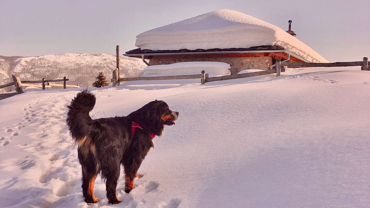 inverno_malga_ceda_bassa_andreas_tamanini