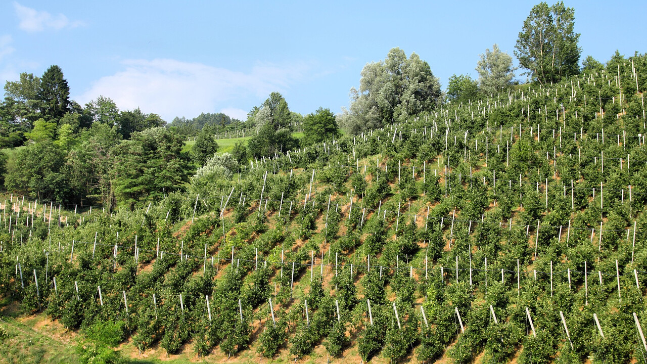 meleti_passo_del_tonale_vermiglio_shutterstock