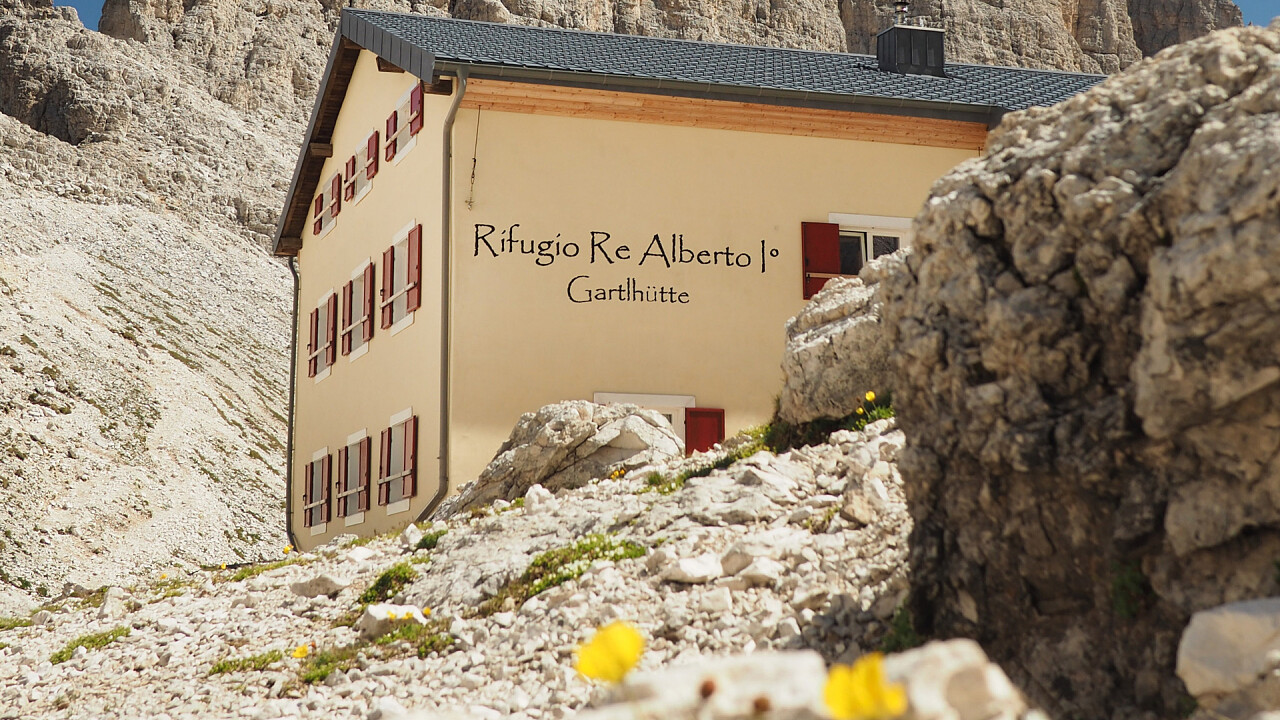 fiore_rifugio_re_alberto_andreas_tamanini