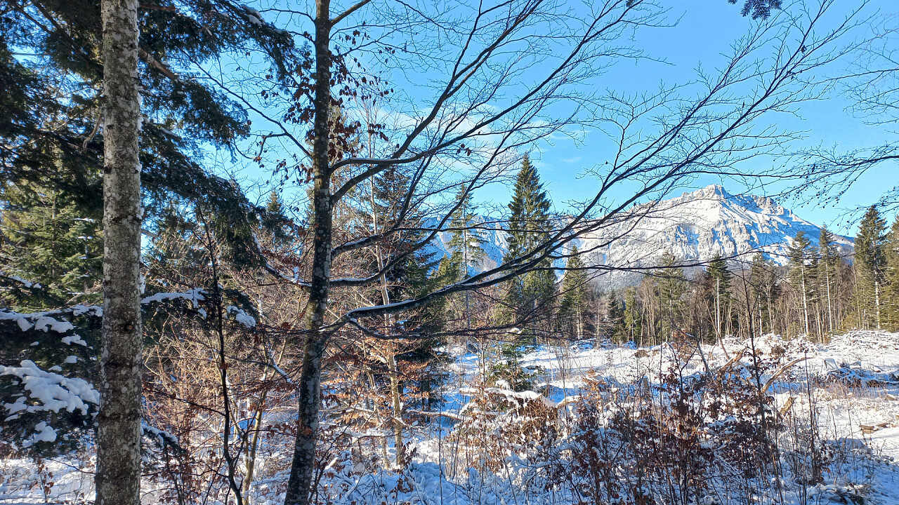 Inverno a Lavarone lungo il Sentiero del Drago