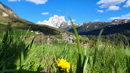 Selva di Cadore primavera